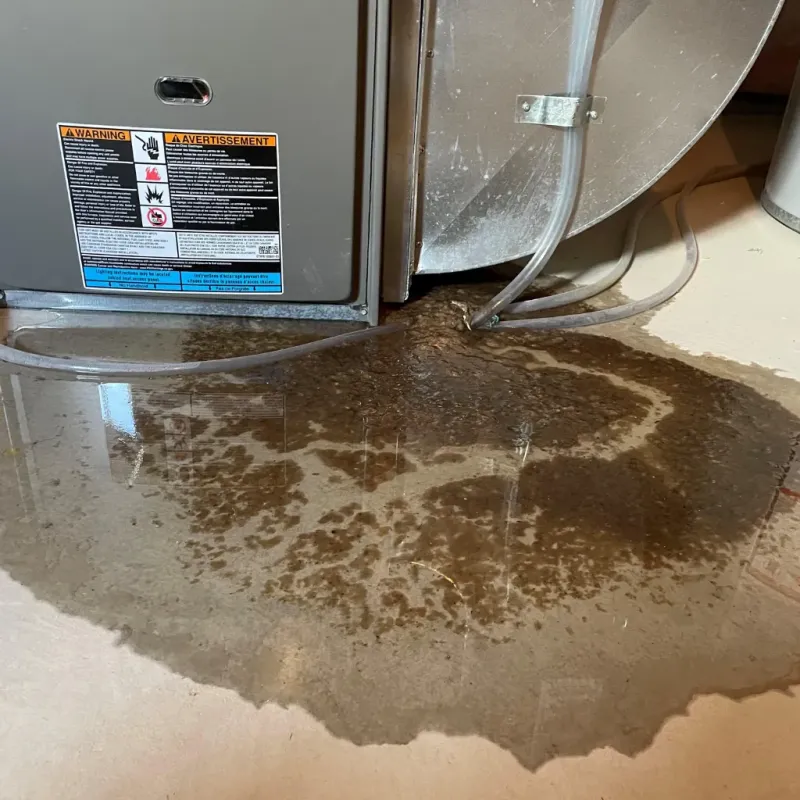 Appliance Leak Cleanup in Randleman, NC