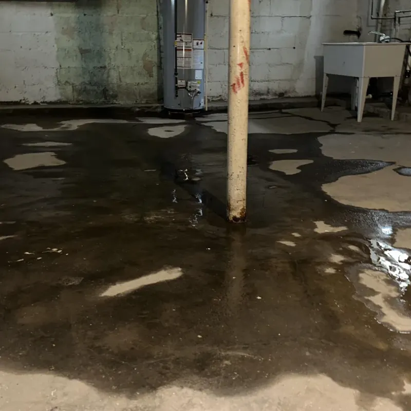 Emergency Water Extraction And Removal in Randleman, NC
